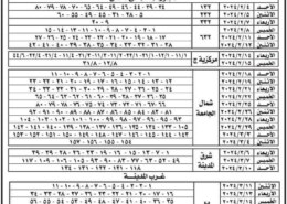 جدول تسليم قطع اراضي بيت الوطن  المرحلة الثامنة دمياط الجديدة